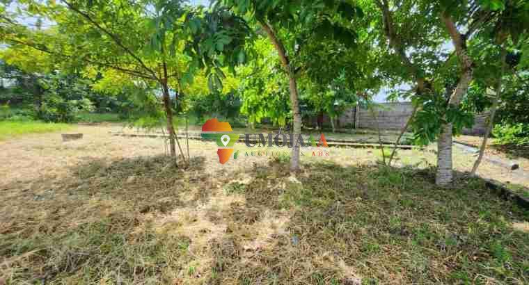 SECOND PLOT FROM TARMAC ROAD FOR SALE IN GOBA KULANGWA