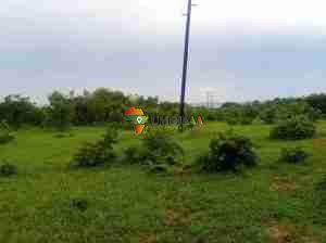 767 Ha LAND KAFUE RIVER FRONTAGE ON TITLE FOR SALE