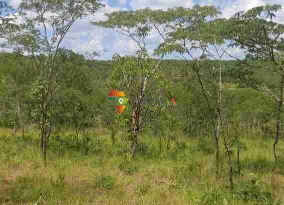 31 Ha Virgin land for sale in Lusaka East Chimfwema, Zambia