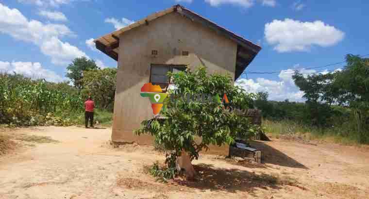 31 Ha Virgin land for sale in Lusaka East Chimfwema, Zambia
