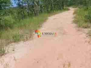 31 Ha Virgin land for sale in Lusaka East Chimfwema, Zambia