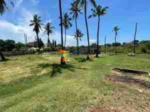 1200 SQM NICE PLOT IS FOR SALE IN BAHARI BEACH, DAR