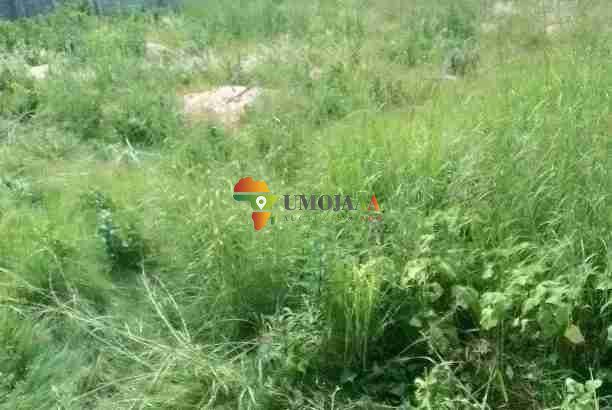 PLOT FOR SALE IN CHOMA