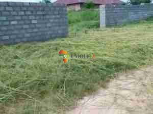 PLOT FOR SALE IN CHOMA
