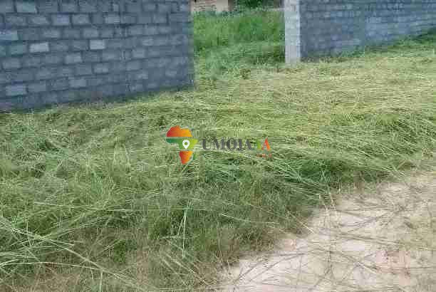 PLOT FOR SALE IN CHOMA
