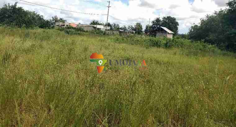 A BIG PLOT FOR SALE IN DAR ES SALAAM