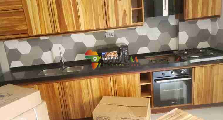 COMPLETELY NEW APARTMENTS IN MASAKI FOR RENT