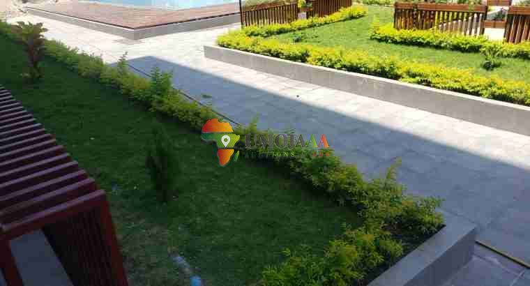 COMPLETELY NEW APARTMENTS IN MASAKI FOR RENT