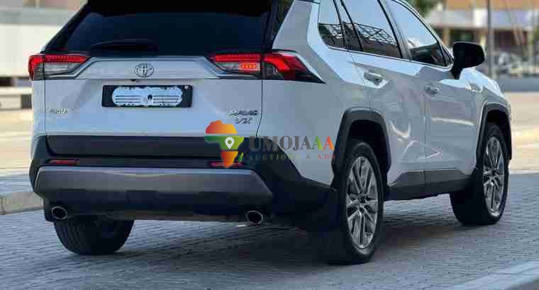 2019 TOYOTA RAV4 ADVENTURE FOR SALE IN DAR ES SALAAM