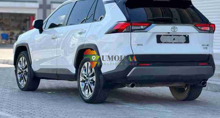 2019 TOYOTA RAV4 ADVENTURE FOR SALE IN DAR ES SALAAM