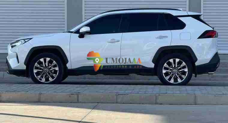 2019 TOYOTA RAV4 ADVENTURE FOR SALE IN DAR ES SALAAM