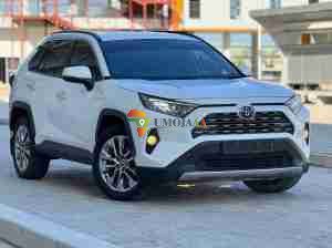 2019 TOYOTA RAV4 ADVENTURE FOR SALE IN DAR ES SALAAM