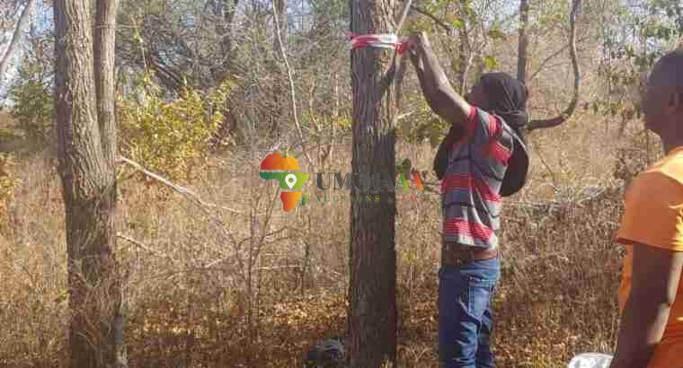 RIVERFRONT LAND FOR SALE IN CHIRUNDU