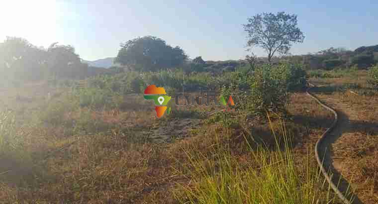 RIVERFRONT LAND FOR SALE IN CHIRUNDU