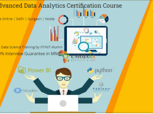 HCL Data Analyst Training in Delhi, 110034 [100% Job in MNC