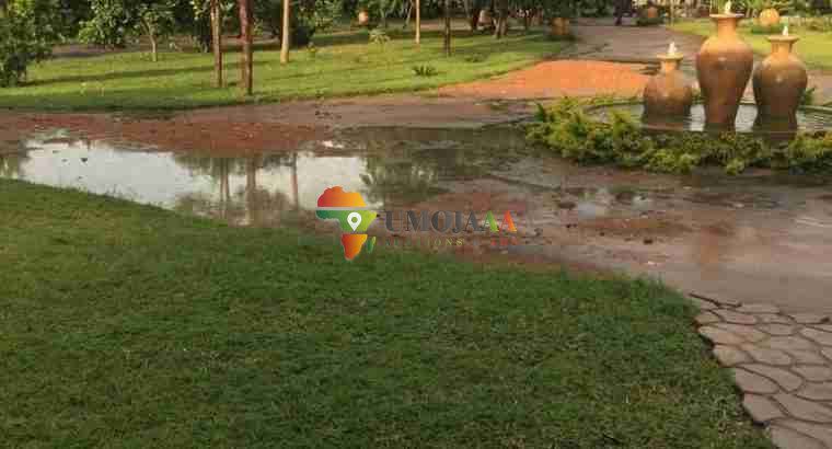 For sale -66 Hectares Farm In Chisamba