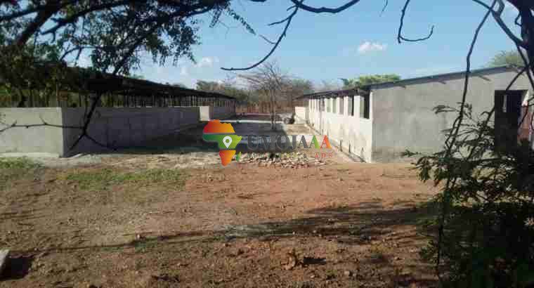 For sale -66 Hectares Farm In Chisamba
