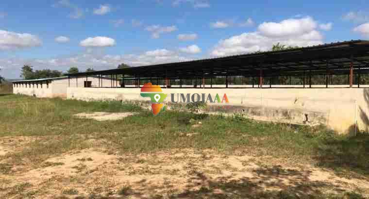 For sale -66 Hectares Farm In Chisamba