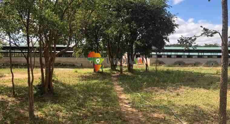 For sale -66 Hectares Farm In Chisamba