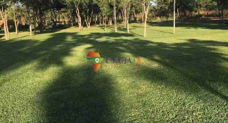 For sale -66 Hectares Farm In Chisamba