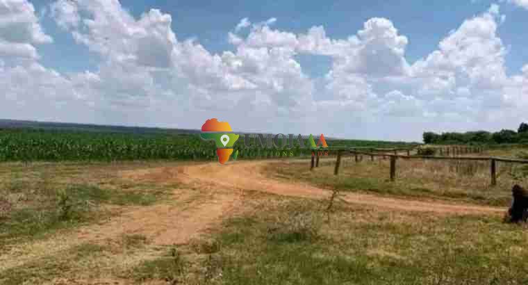 FULLY DEVELOPED 605 HECTARES FARM FOR SALE IN MAZABUKA