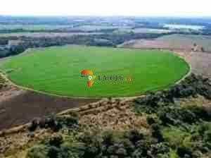 FULLY DEVELOPED 605 HECTARES FARM FOR SALE IN MAZABUKA