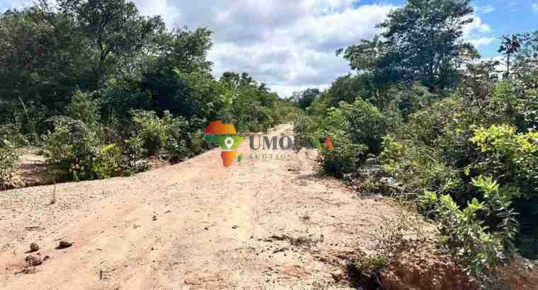 LAND FOR SALE IN CHISAMBA, Zambia