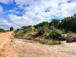 LAND FOR SALE IN CHISAMBA, Zambia