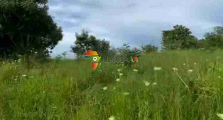 Plot of land for sale Mbezi Africana, Dar es salaam