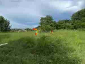 Plot of land for sale Mbezi Africana, Dar es salaam