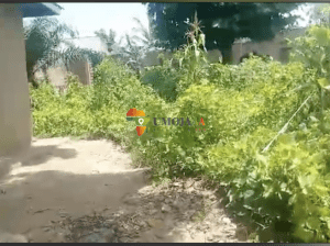 Parcelle à vendre à Kinama Ntahangwa, Buja