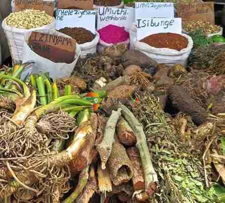men’s health specialist Dr Mia +27640811557