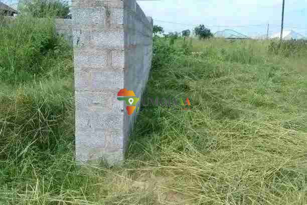 REDUCED TO GO IN CHOMA, ZAMBIA