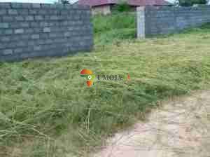 REDUCED TO GO IN CHOMA, ZAMBIA