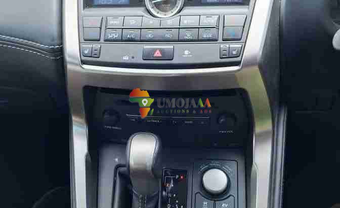 TOYOTA LEXUS NX FOR SALE IN DAR ES SALAAM