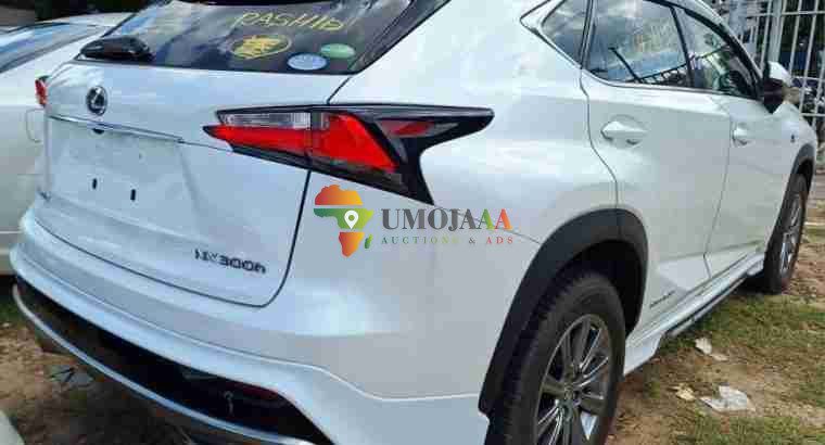 TOYOTA LEXUS NX FOR SALE IN DAR ES SALAAM