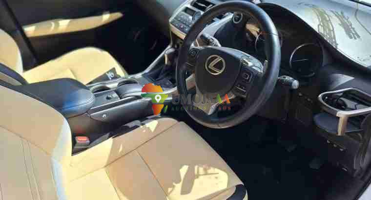 TOYOTA LEXUS NX FOR SALE IN DAR ES SALAAM
