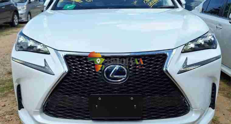 TOYOTA LEXUS NX FOR SALE IN DAR ES SALAAM