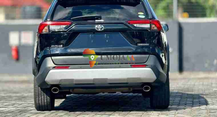 2019 Toyota RAV4 Adventure à vendre à Dar es Salaam