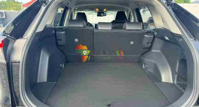 2019 Toyota RAV4 Adventure à vendre à Dar es Salaam