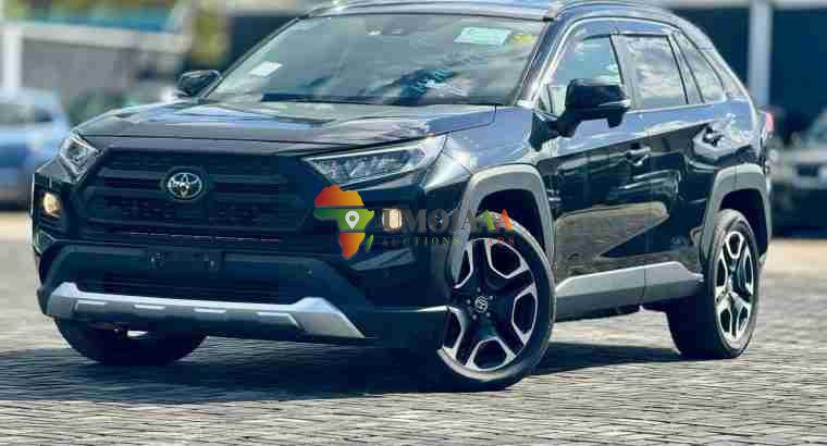 2019 Toyota RAV4 Adventure à vendre à Dar es Salaam