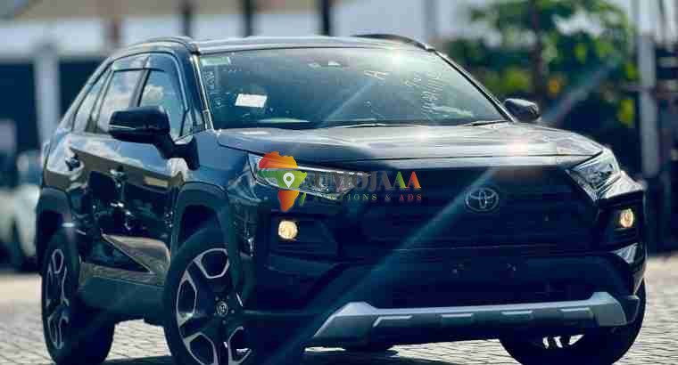 2019 Toyota RAV4 Adventure à vendre à Dar es Salaam