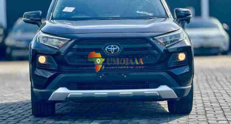 2019 Toyota RAV4 Adventure for sale in Dar es Salaam