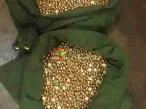 Raw Gold Dore Bars, gold nuggets for sale