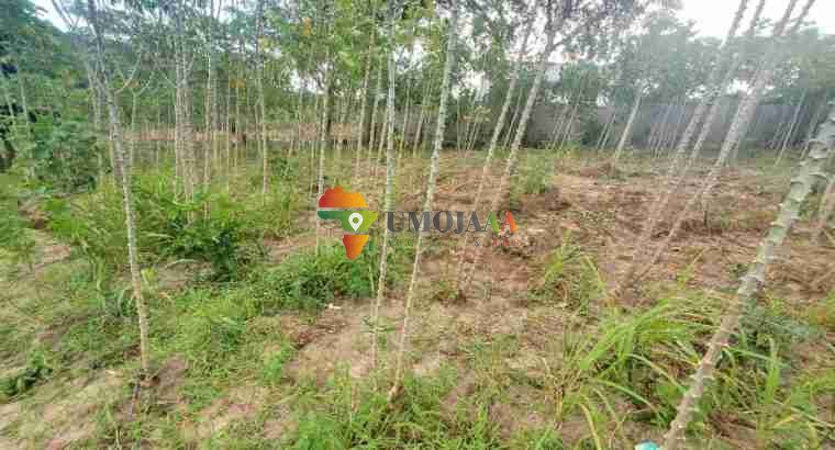 Plot for sale in Madale Mwisho, Dar es salaam