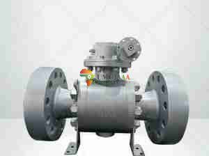 JSC Valve Manufacturer Group Co., Ltd.
