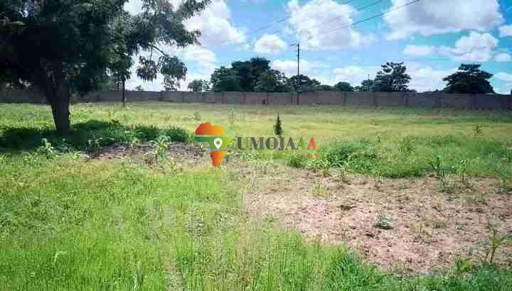 COMMERCIAL PROPERTY FOR SALE IN CHOMA ZAMBIA
