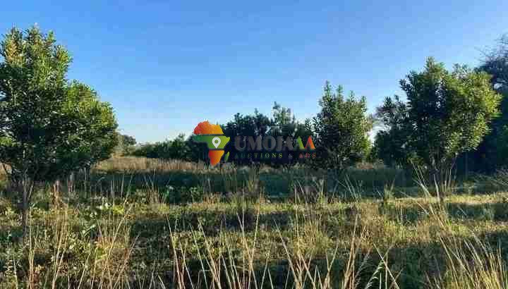 800 HECTARES FARM FOR SALE IN CHOMA, ZAMBIA
