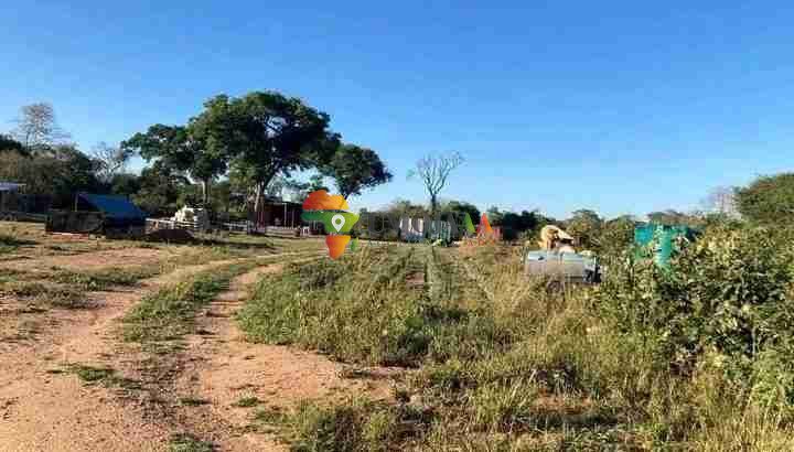 800 HECTARES FARM FOR SALE IN CHOMA, ZAMBIA