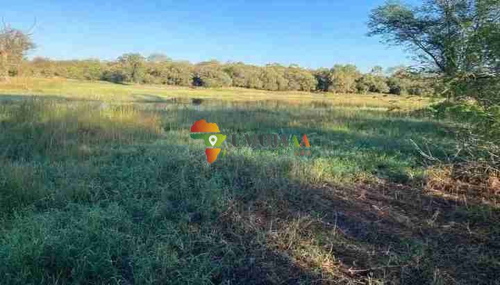 800 HECTARES FARM FOR SALE IN CHOMA, ZAMBIA